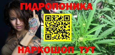 эйфоретик Бузулук