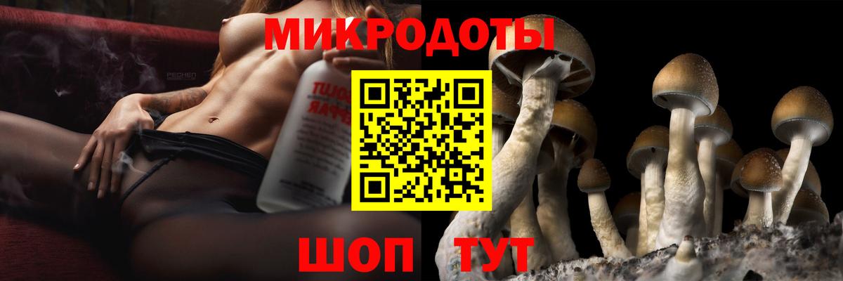 Тосно  Галлюциногенные грибы мицелий  Вход с VPN 